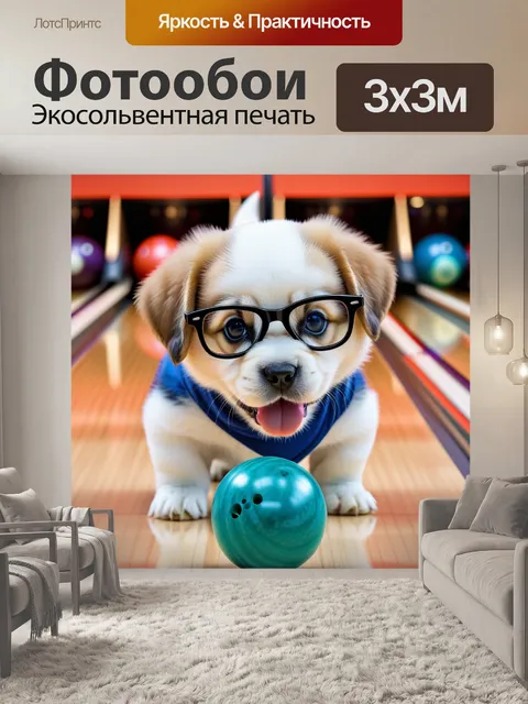 Фотообои милая собачка в больших очках, играющая в боулинг с мячами