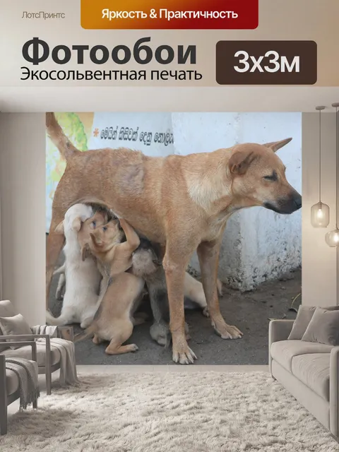 Фотообои Щенки