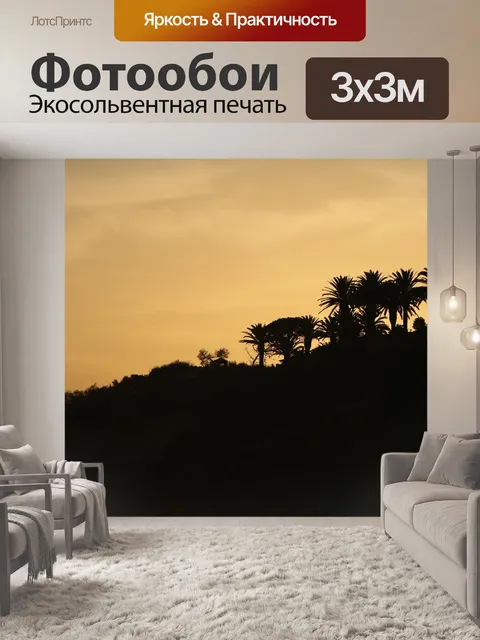 Фотообои Пальмовые деревья
