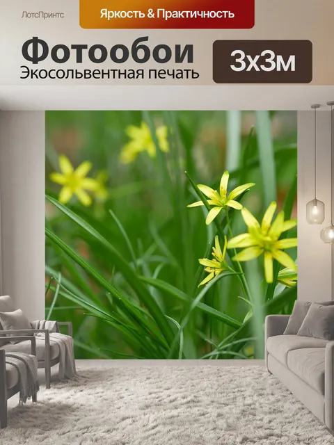 Фотообои Лес желтая звезда
