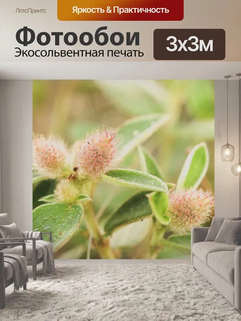 Фотообои Цветочные изображения фона