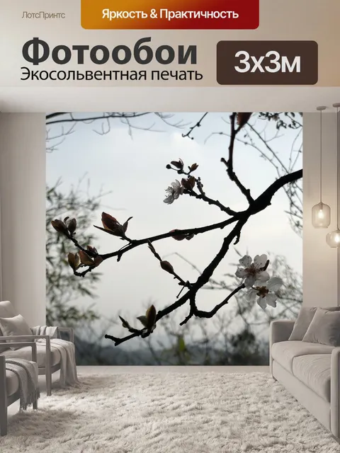 Фотообои Вишни в цвету