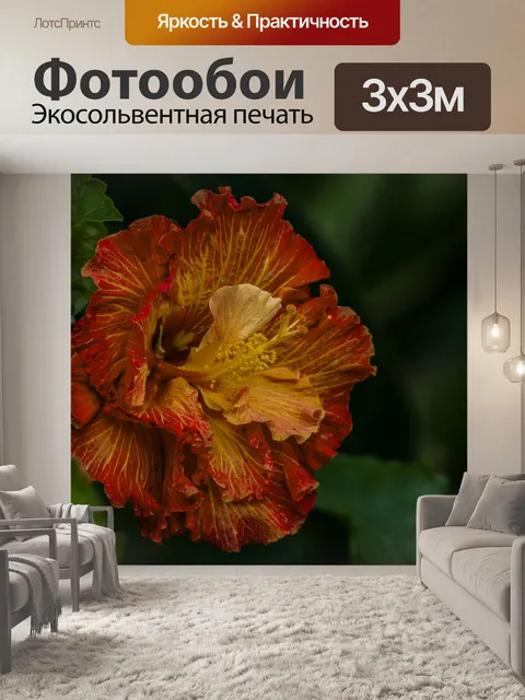 Фотообои Красный цветок гибискуса