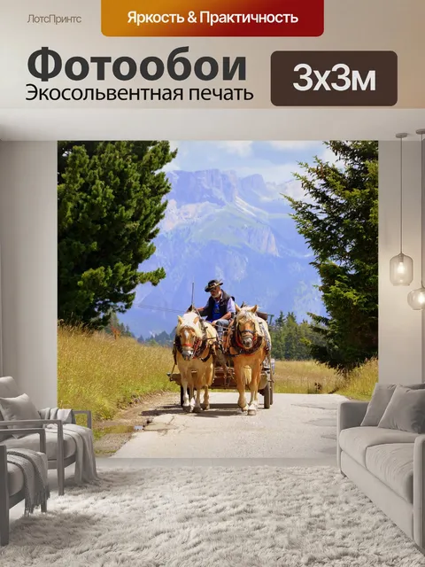 Фотообои Лошадь