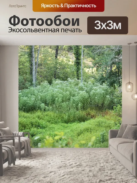 Фотообои Маленький луг в лесу