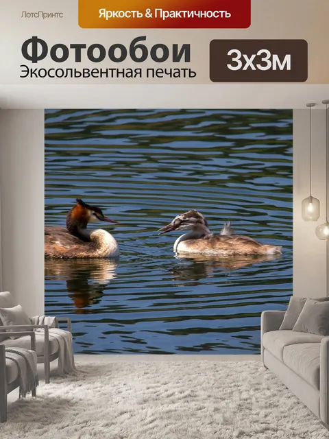 Фотообои Большая хохлатая поганка