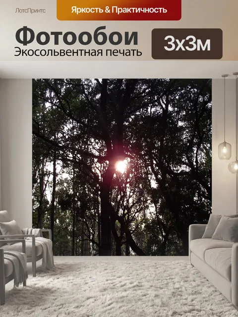 Фотообои Лес