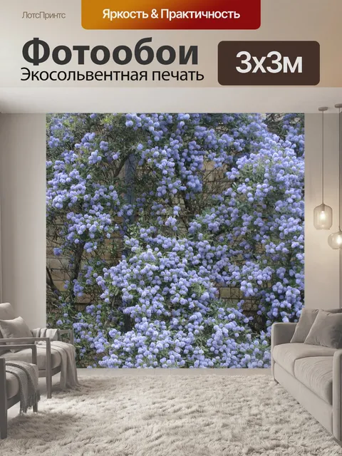 Фотообои Фиолетовый Цветные Дерево