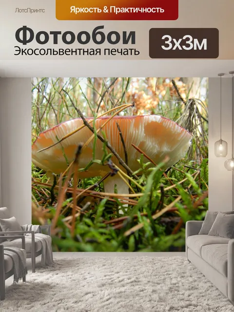 Фотообои Лес