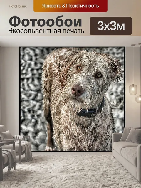 Фотообои Собака
