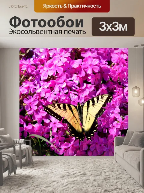 Фотообои Бабочка Махаон Тигр