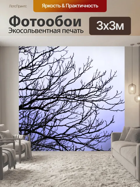 Фотообои сухие ветки и тонкие небо лаванды