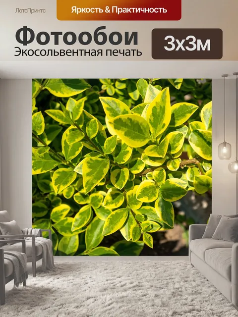 Фотообои Лето