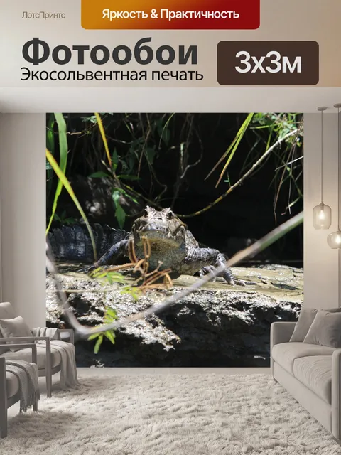 Фотообои Кайман Аллигатор
