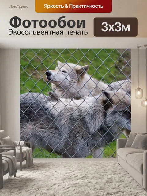Фотообои Волк