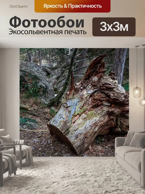 Фотообои Мертвое дерево
