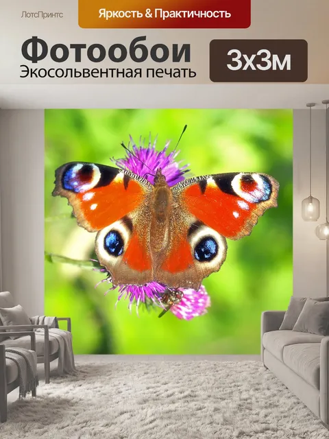 Фотообои Павлиний глаз