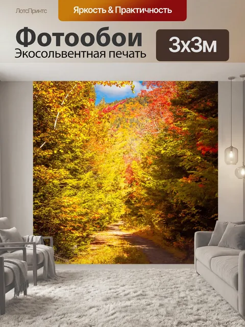 Фотообои тропа осенью