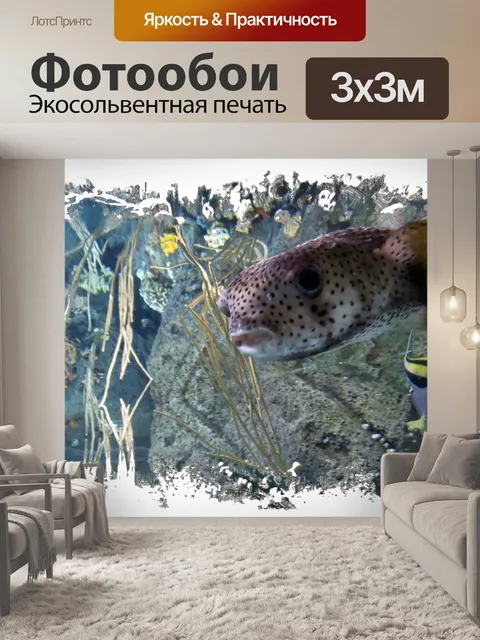 Фотообои Рыба фугу
