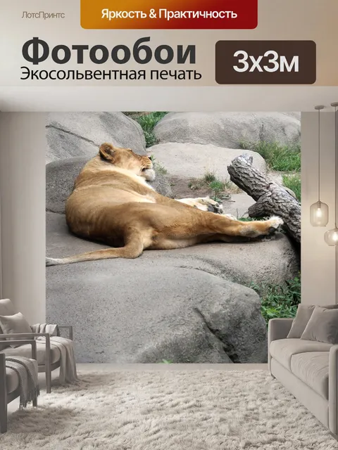 Фотообои Львица