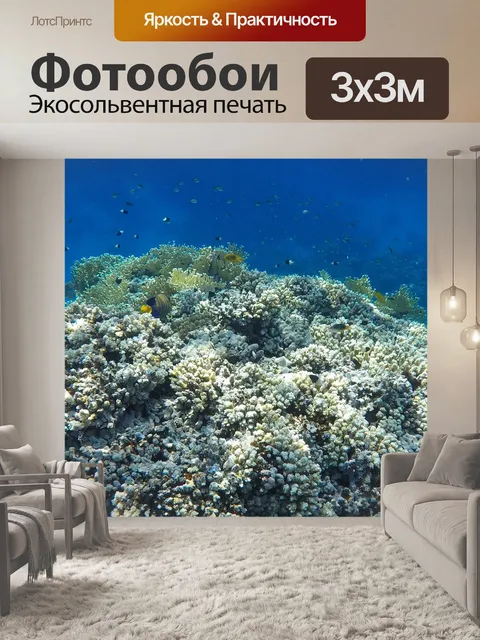 Фотообои Кораллы