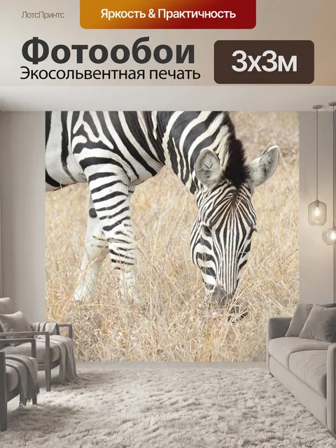 Фотообои Зебра