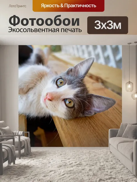 Фотообои Кошка