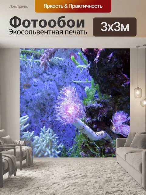 Фотообои Коралл