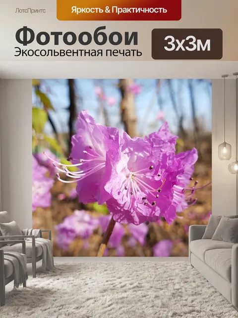 Фотообои Азалия