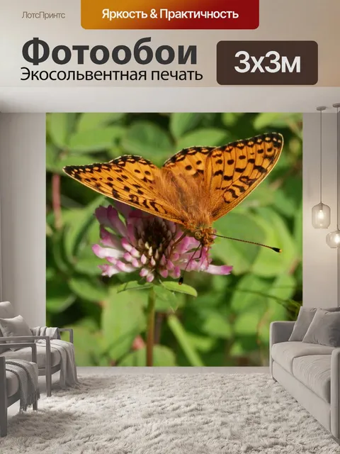 Фотообои Красный клевер с бабочкой