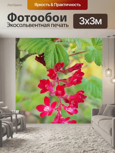 Фотообои Расцветает