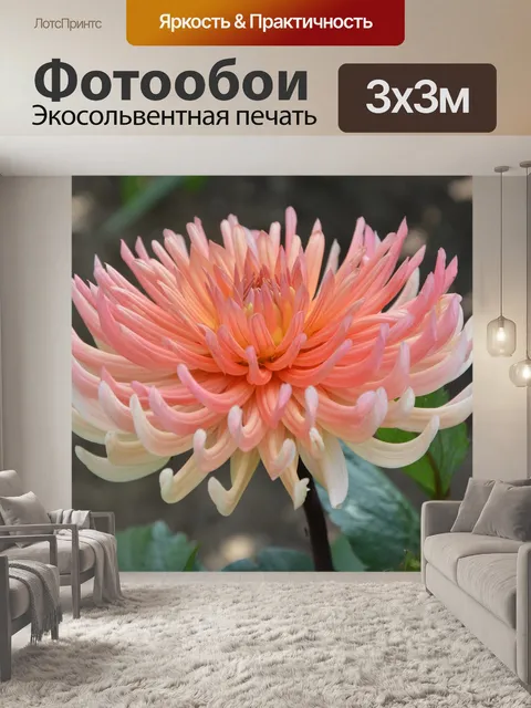 Фотообои Цветок