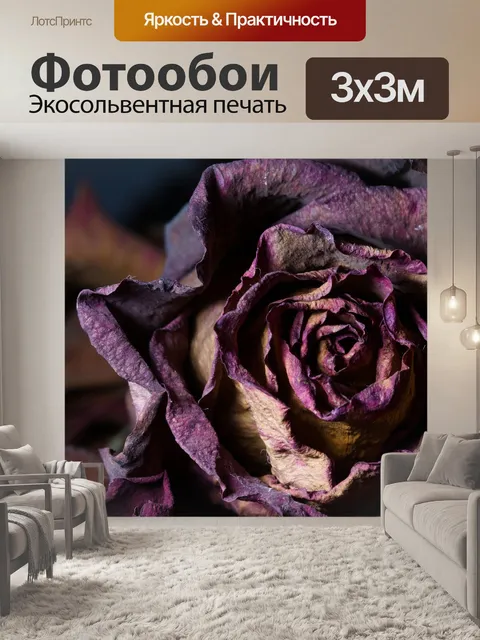 Фотообои Роза