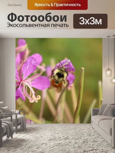 Фотообои Bumble Bee Фиолетовый Дикий цветок