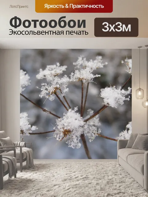 Фотообои Мороз