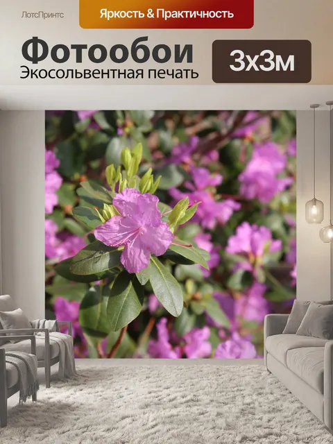 Фотообои азалия