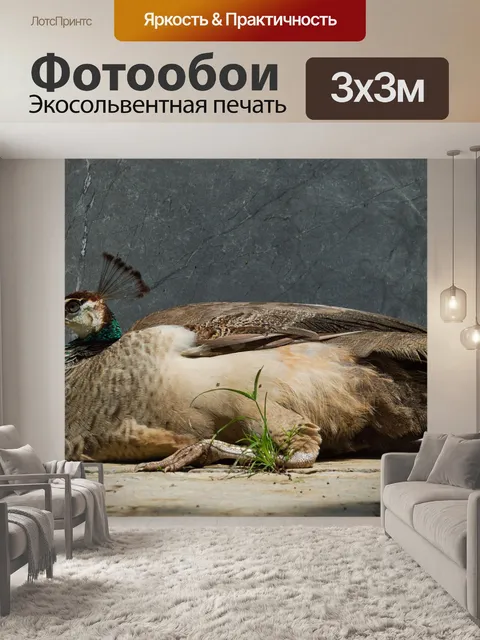 Фотообои Коста-рика
