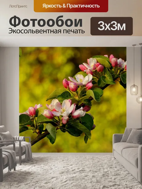 Фотообои Цветение яблони