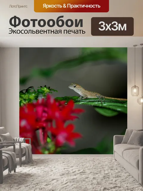 Фотообои Детские Anole Lizard