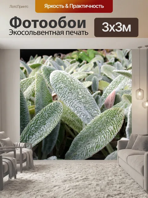 Фотообои Растения