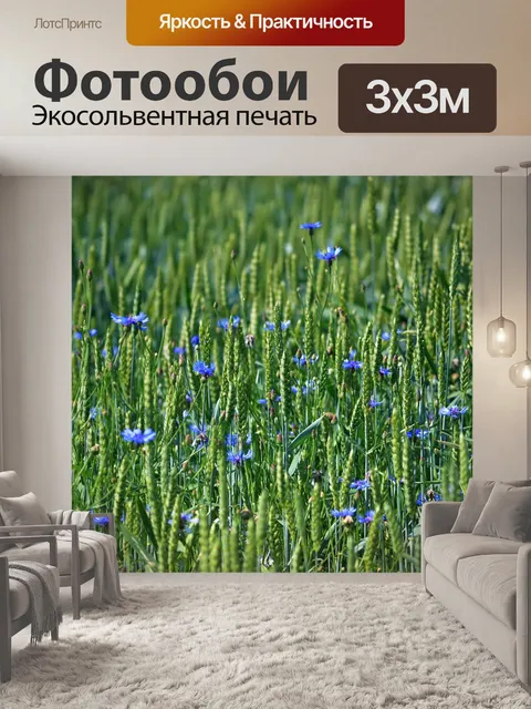 Фотообои Поле