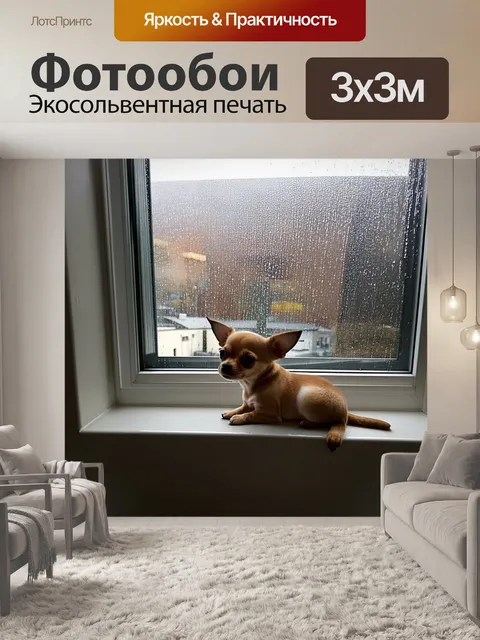 Фотообои в маленькой городской квартире