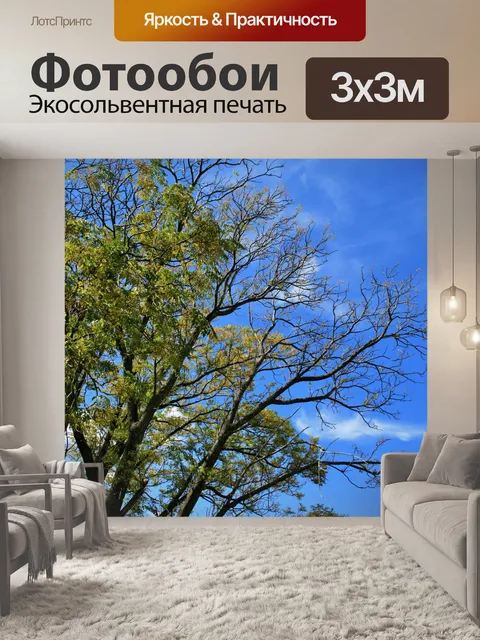 Фотообои дерево на фоне голубого неба