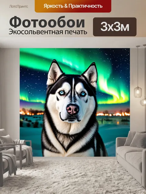 Фотообои хаски на фоне северного сияния