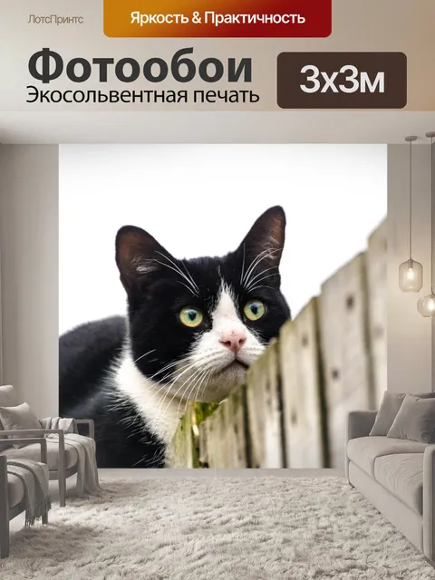 Фотообои Животное