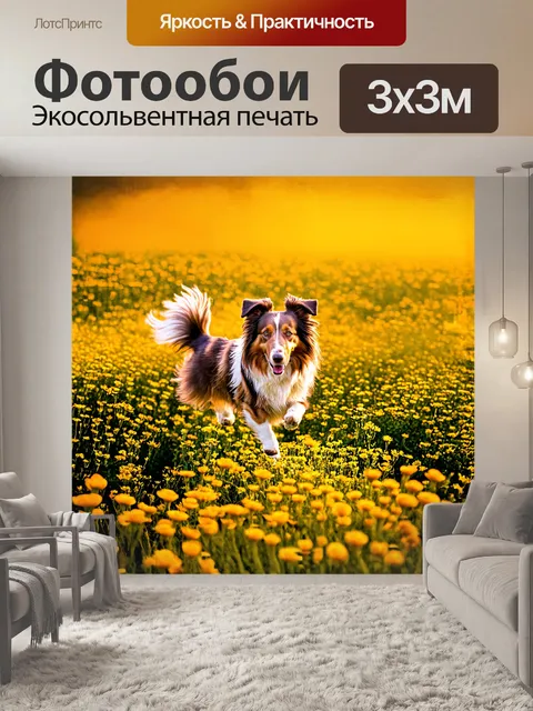 Фотообои красивая колли, играющая в диком цветущем поле с яркими цветами, поднимая облако пыльцы