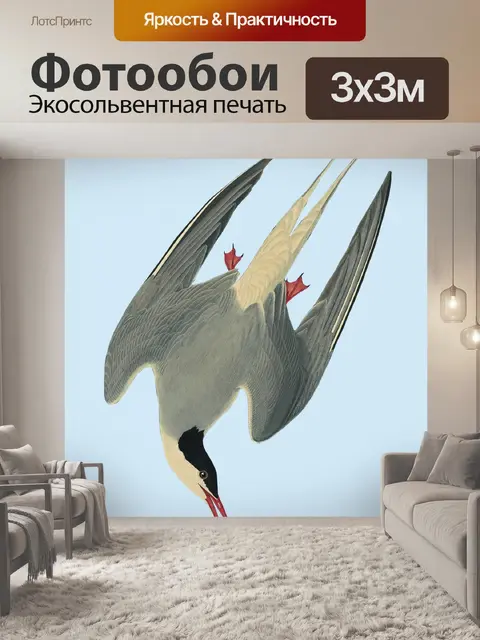 Фотообои Птица Винтаж Крачка Искусство