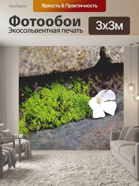 Фотообои Каменная стена