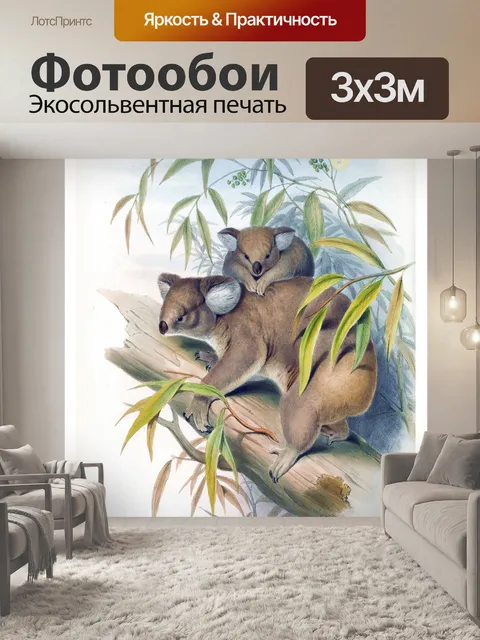 Фотообои Коала Винтаж плакат искусство