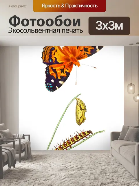 Фотообои Винтажная бабочка Caterpillar Art